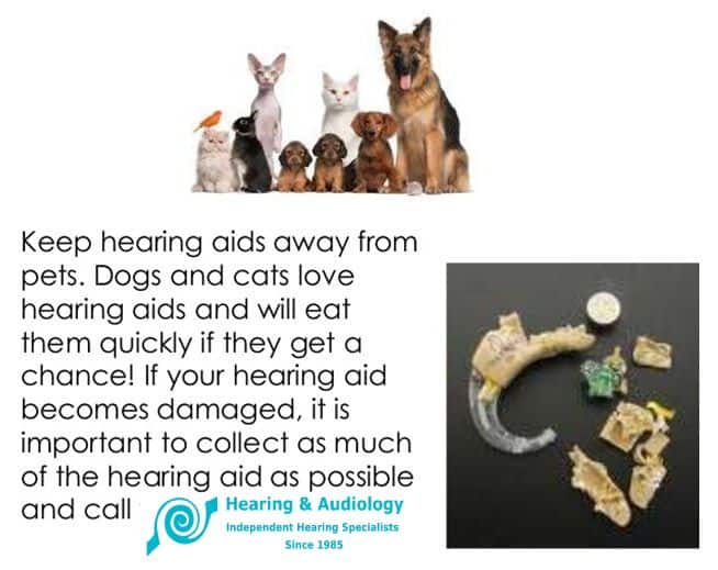 Keep hearing aids away from pets